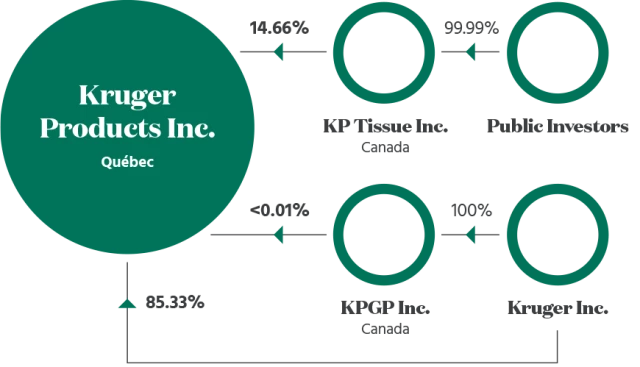 corporate structure